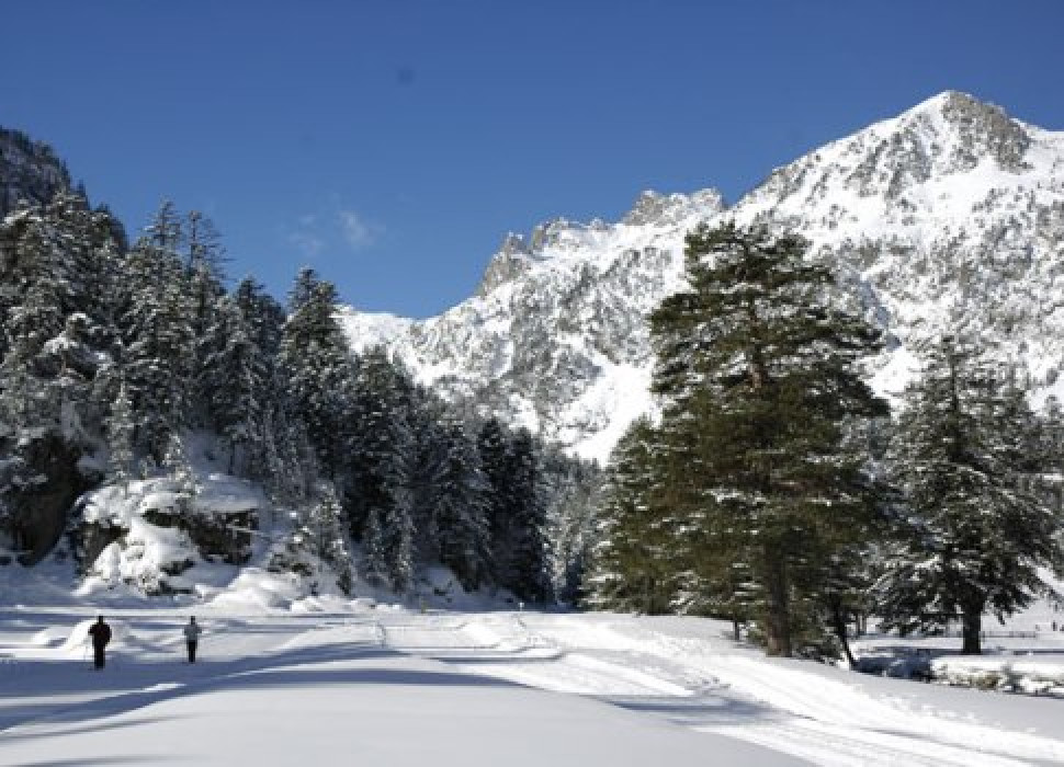 pierre-revente-lmnp-cauterets-aladin-4.jpg