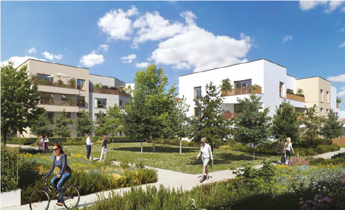 DOMAINE DES LYS - 2.png
