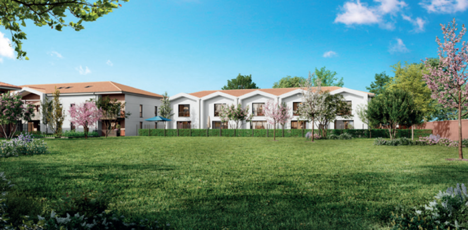 TILIA 31