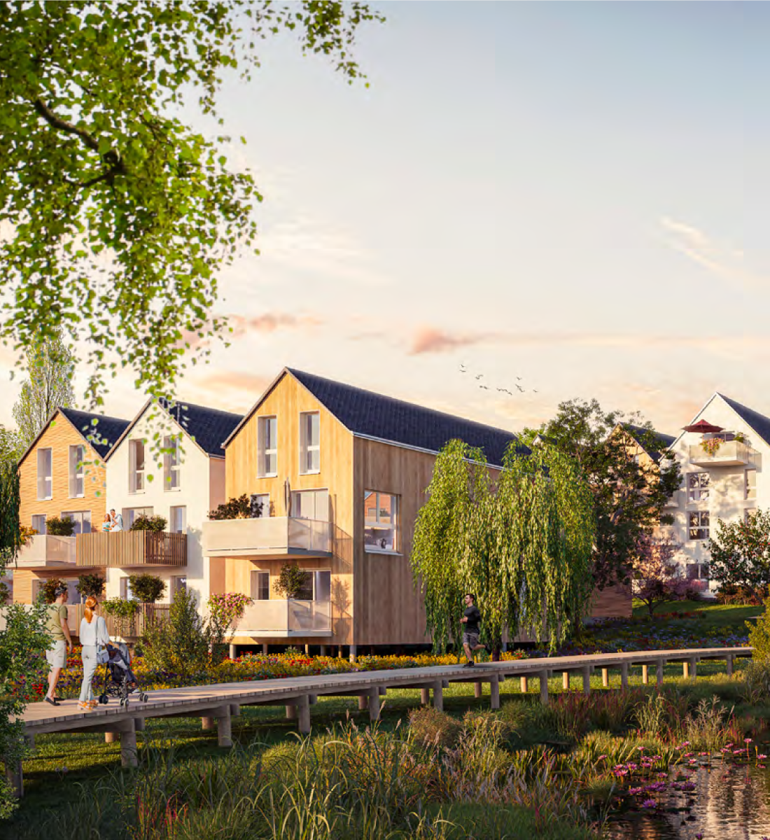 COTTAGES-1.png